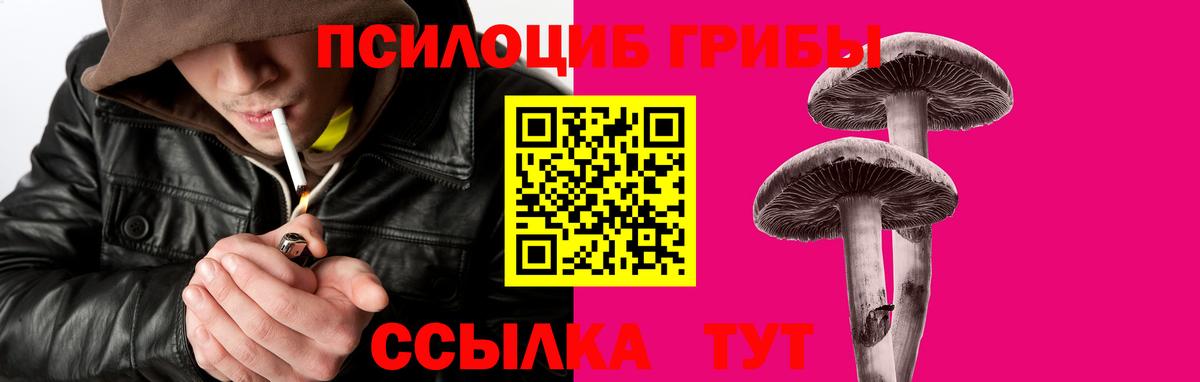 Ликино-Дулёво  Галлюциногенные грибы мицелий  Псилоцибиновые грибы прущие грибы  Вход с VPN 